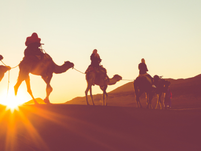Fernweh Half Day Camel Safari Tour with Sunrise