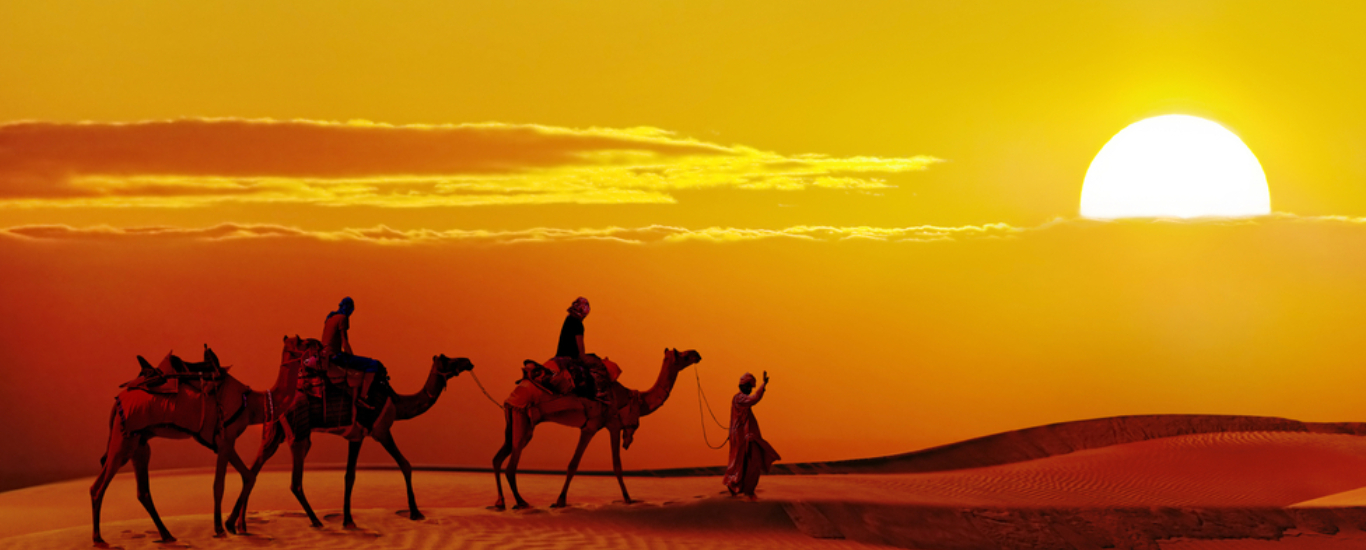 Camel Safari with marvin jaisalmer