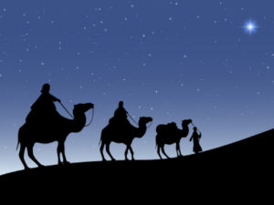 Rumi camel safari