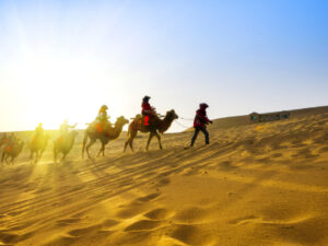 Camel Safari Marvin Jaisalmer