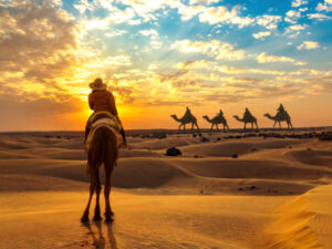 Camel safari in Jaisalmer Desert