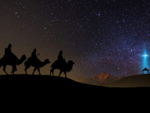 over night camel safari